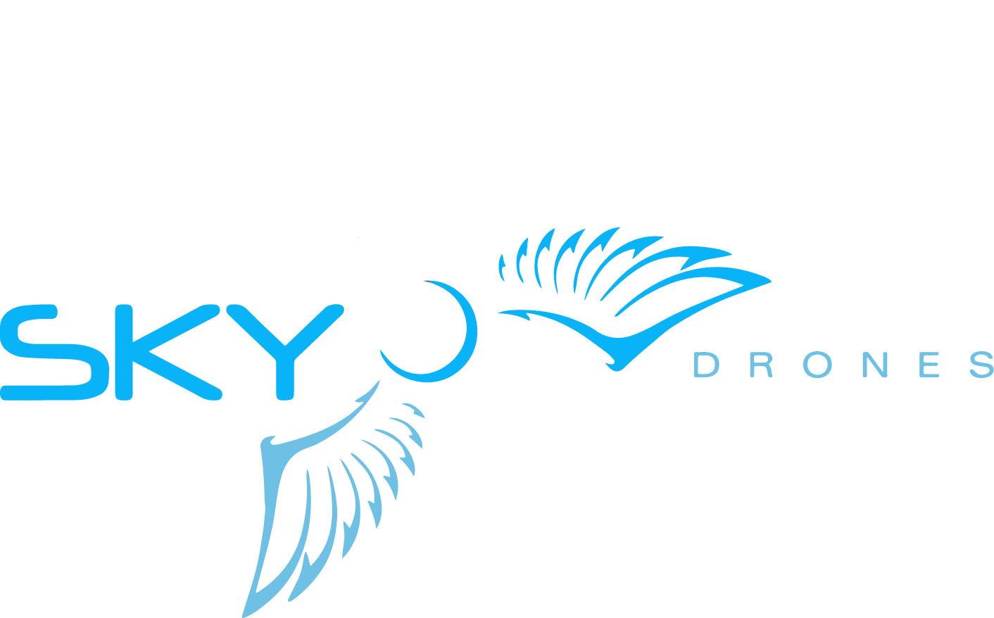 Vision dron sales